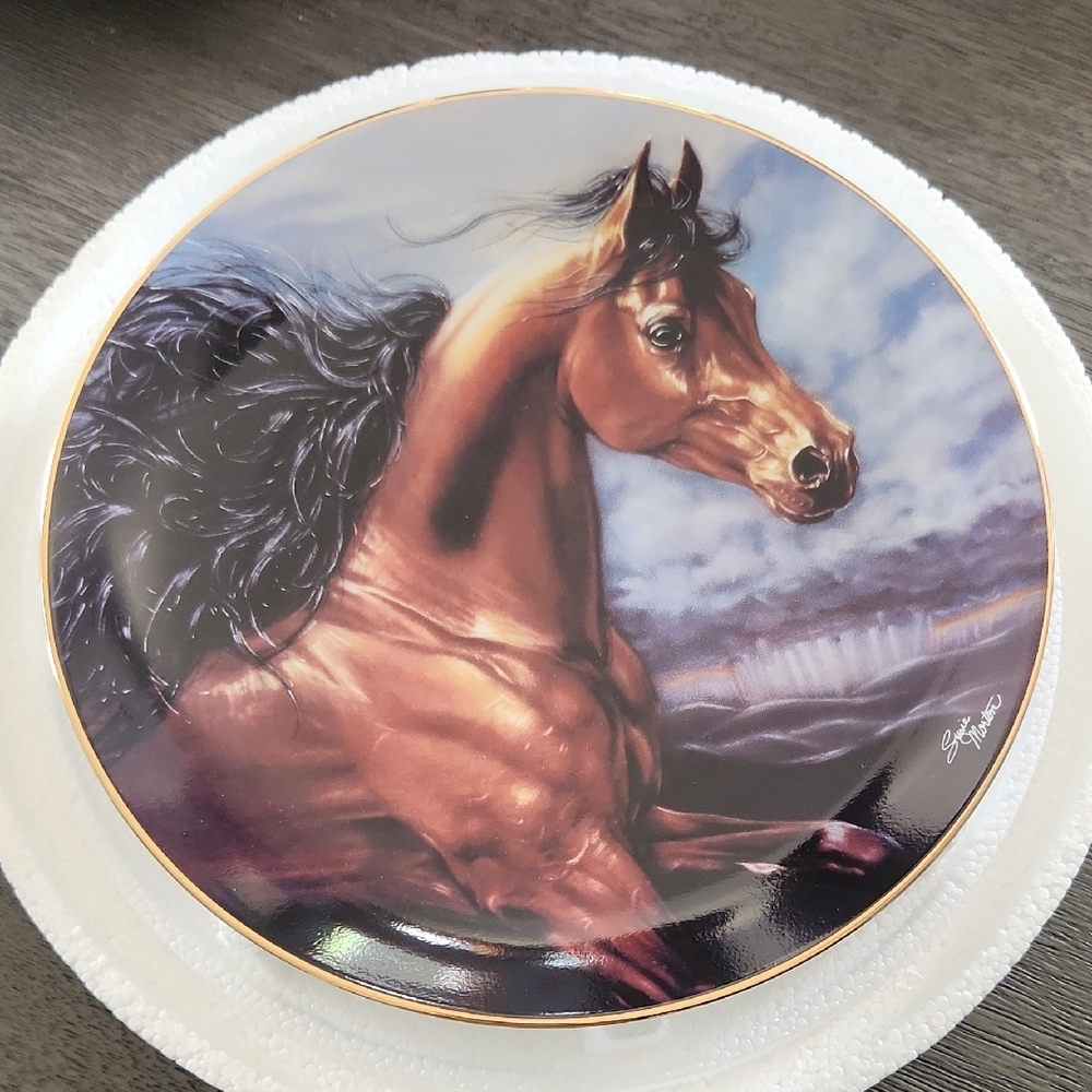Chosen Champion Noble And Free By Susie Morton Authentic Collectors Plate